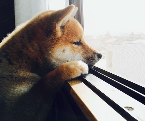 私はどんな仕事が向いているんだろう・・・?